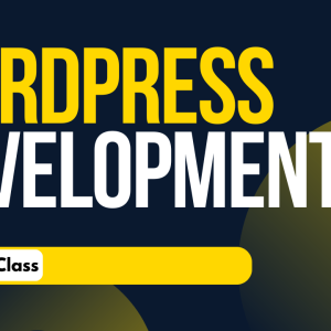 Wordpress Development Customization